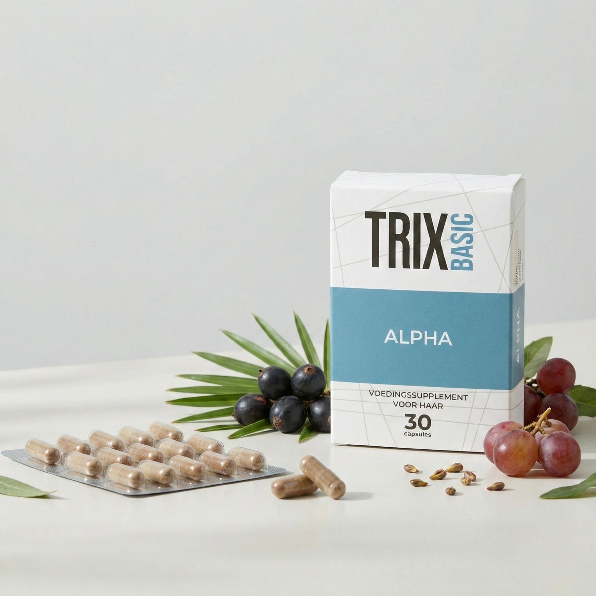 TRIX Basic Alpha